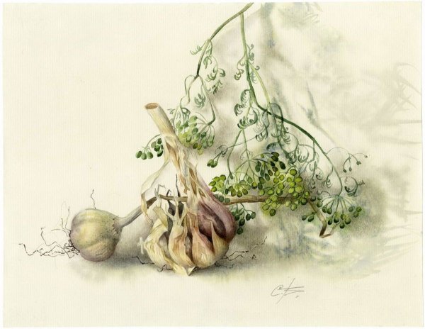 Художник Светлана Овинова натюрморты