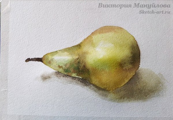 Груша акварелью Андрияка