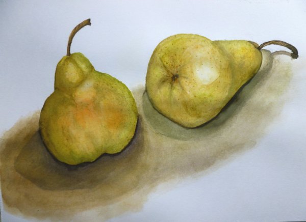 Груша акварелью