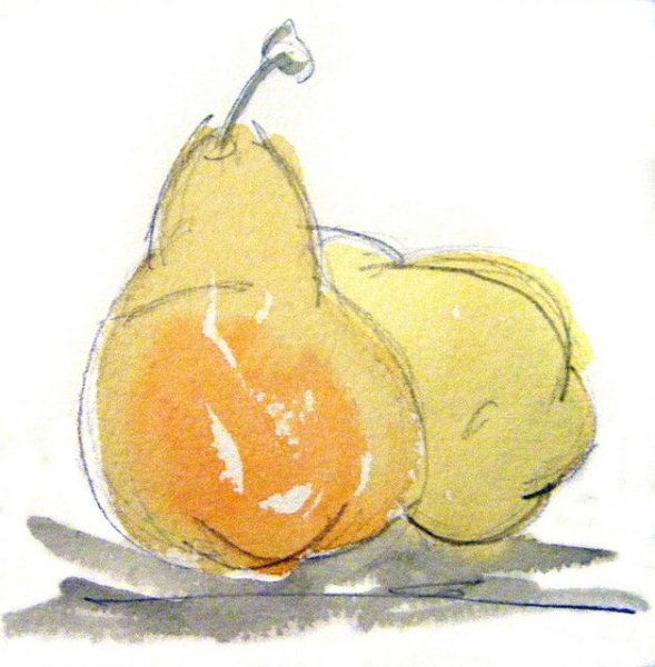 Груша скетч акварель