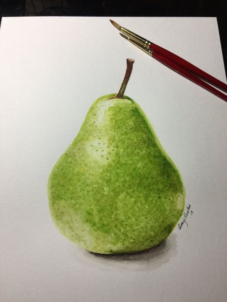 Груши зелёные акварель