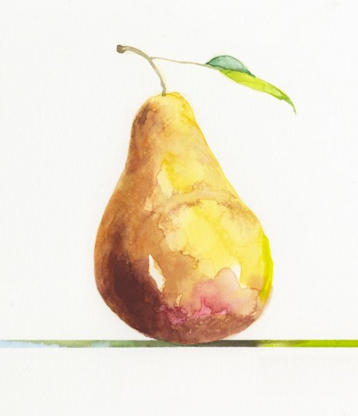 Груша акварелью