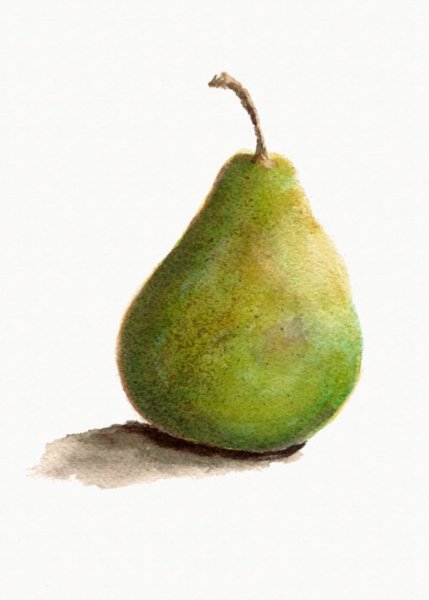 Груши зелёные акварель
