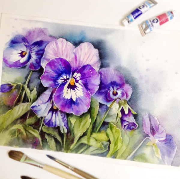 Анютины глазки акварелью
