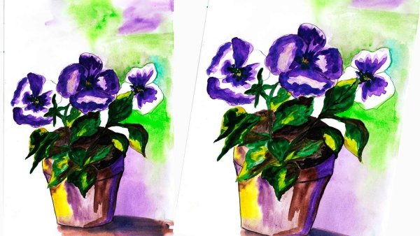 Цветы в горшке поэтапно красками