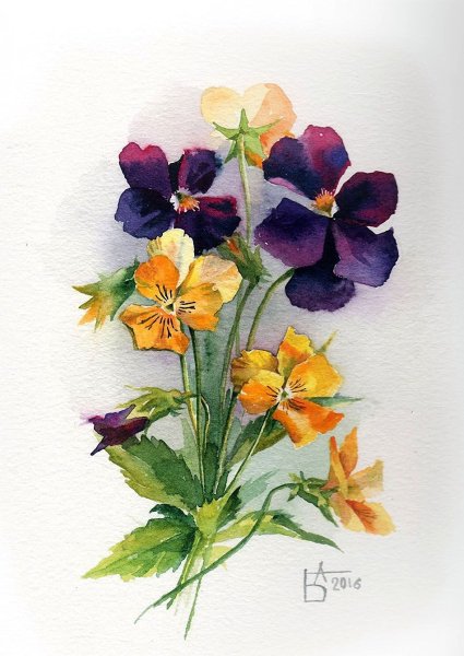 Анастасия Беседина акварель