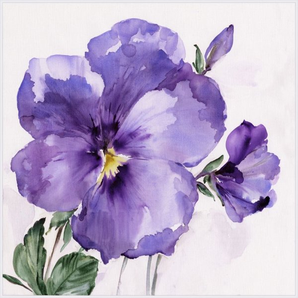 Фиалка ЕК сиреневая акварель