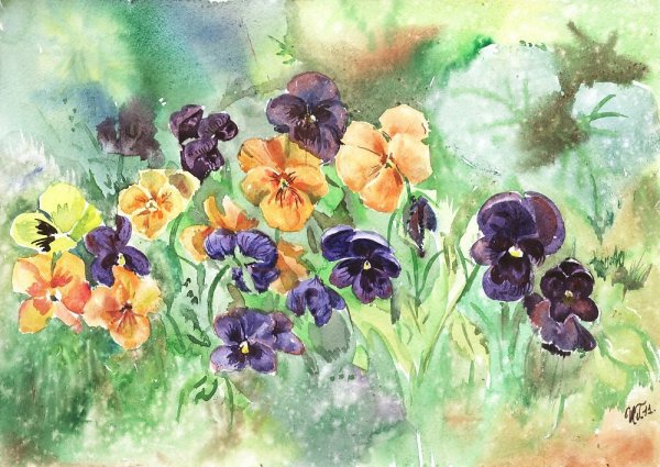 Скетчинг Анютины глазки