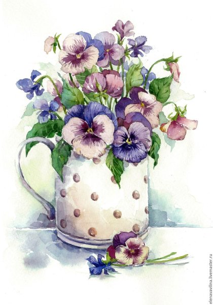 Анютины глазки цветы акварель