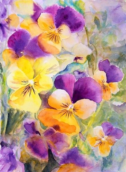 Анютины глазки акварелью
