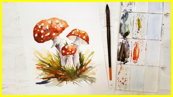 Грибы акварелью скетч