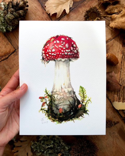 Мухомор акварель Сюзан Веллер