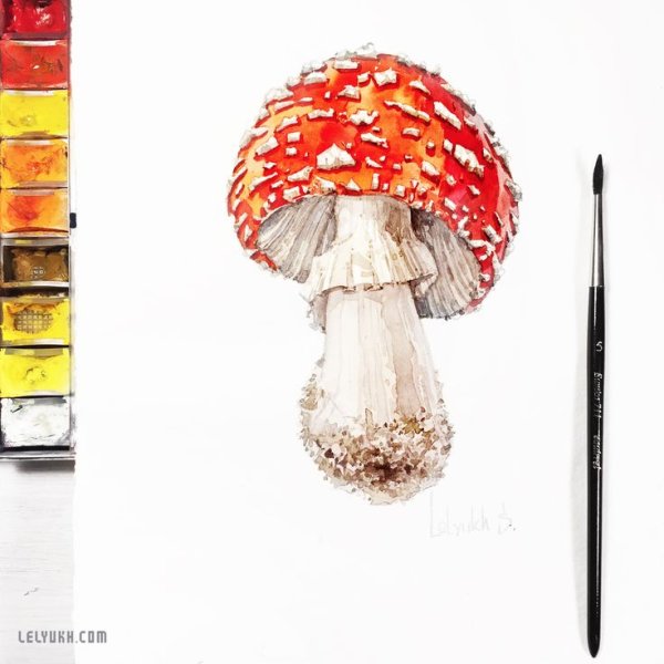 Мухомор гуашью