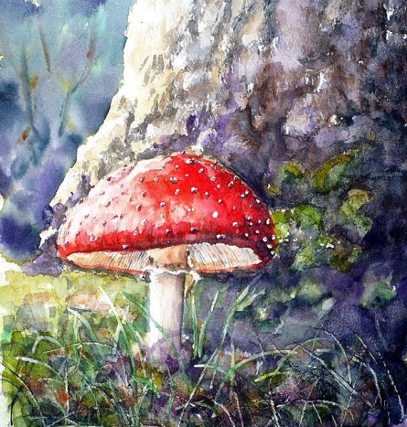 Мухоморы Андрияка