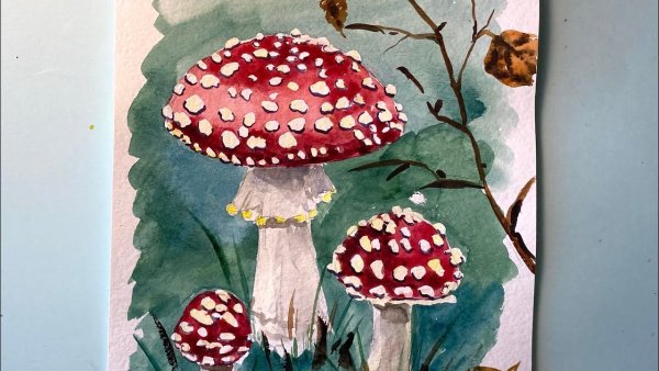 Как нарисовать мухомор поэтапно акварелью