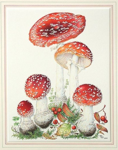 Декупаж мухомор