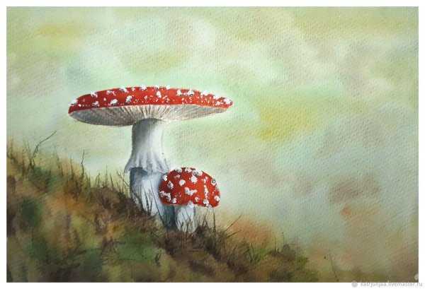 Мухомор акварель Сюзан Веллер