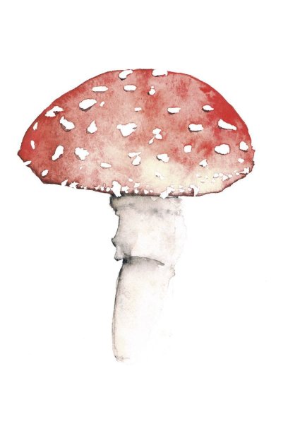 Мухомор акварелью