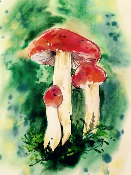 Мухомор акварель Сюзан Веллер