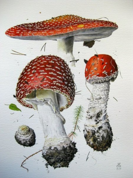 Александр Вязьменский художник