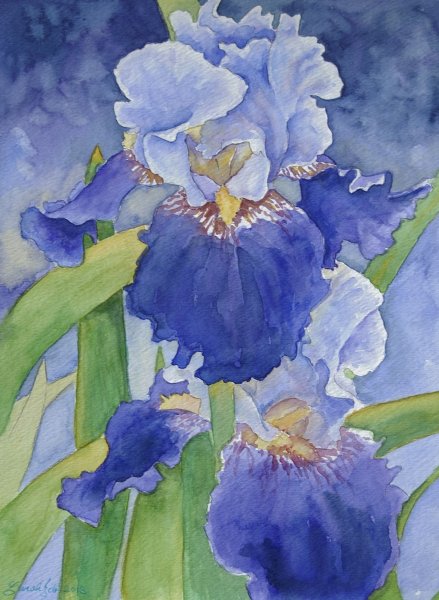 Рисуем ирисы акварелью поэтапно с детьми 6 лет