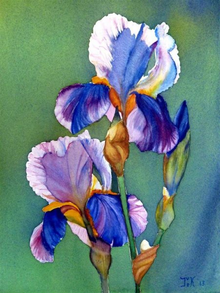 Художник Ивон Хэрри Ирис