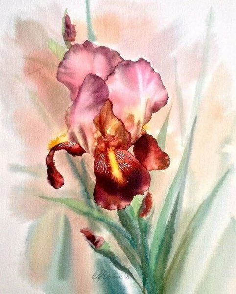 Эдгар Дега акварель цветы ирисы