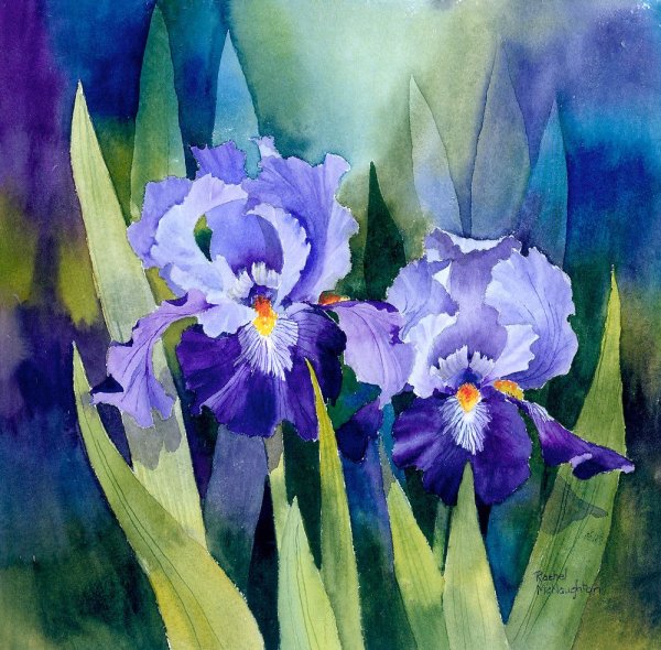 Ирисы референс