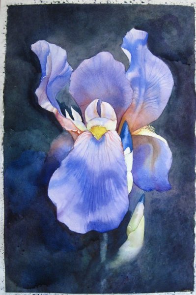 Ирисы на стене нарисованные