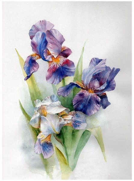 Ниткография ирисы