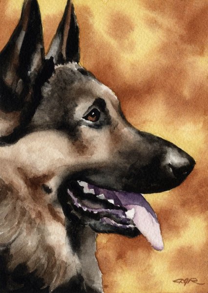 Немецкая овчарка живопись