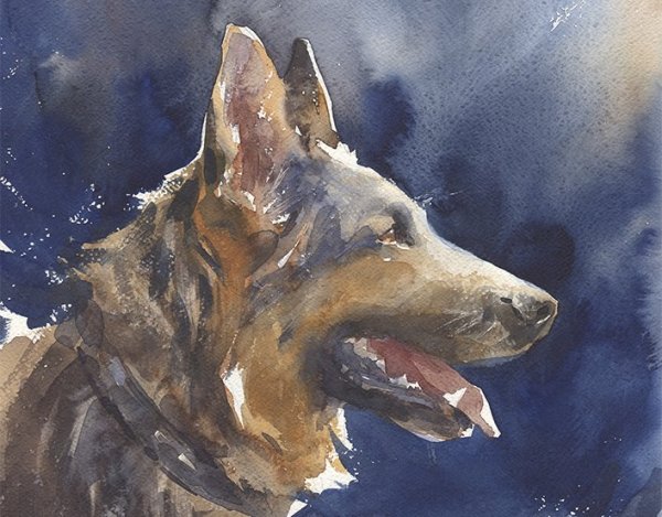 Немецкая овчарка Мухтар арт