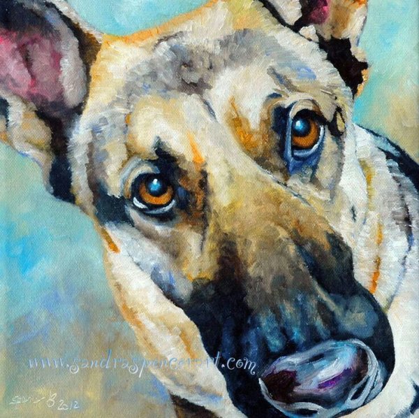 Овчарка акварелью