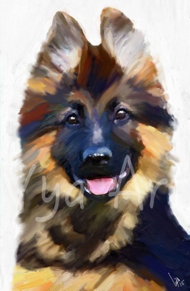 Овчарка акварелью