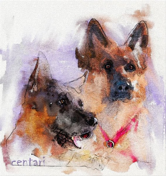 Щенок овчарки акварель