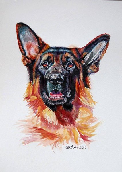 Собака акварелью