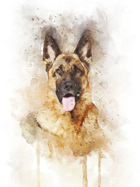 Немецкая овчарка акварель тату