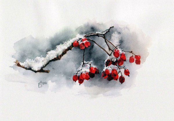 Анастасия Беседина акварель рябина