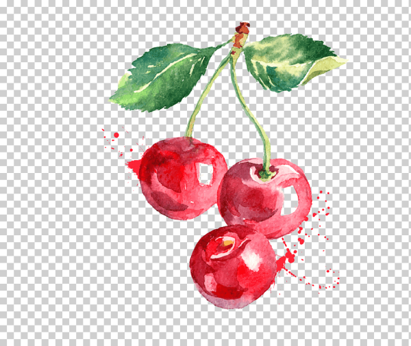 Черешня акварелью