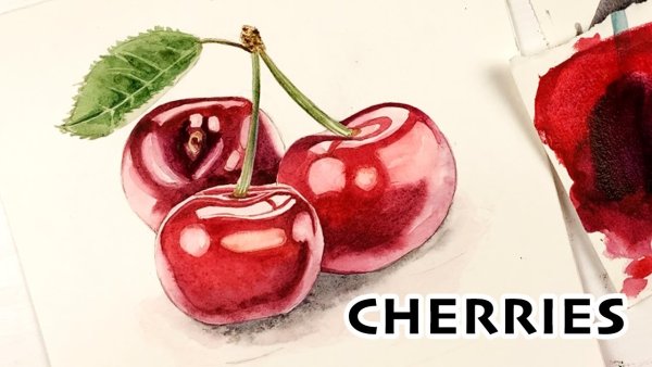 Вишня скетч акварелью