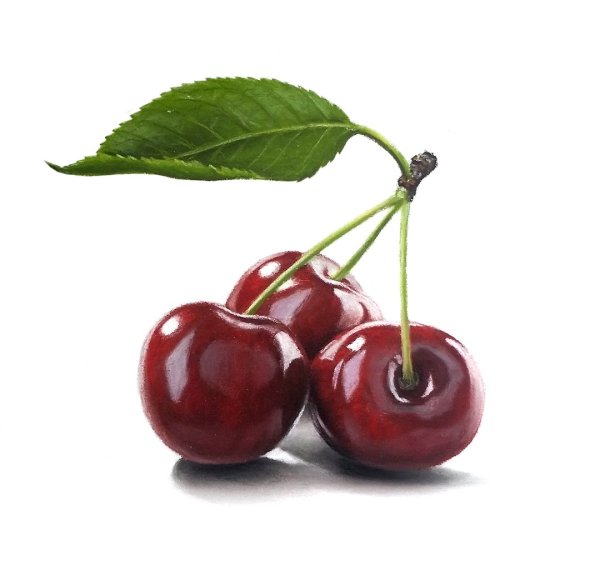 Черешня акварелью