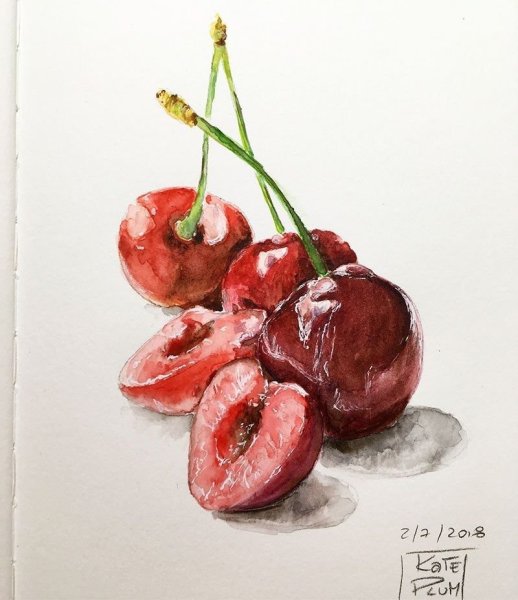 Вишня акварелью