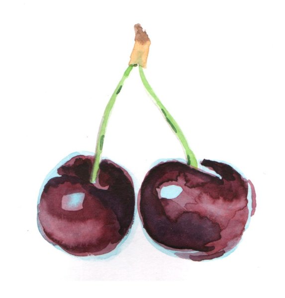 Вишня гуашью