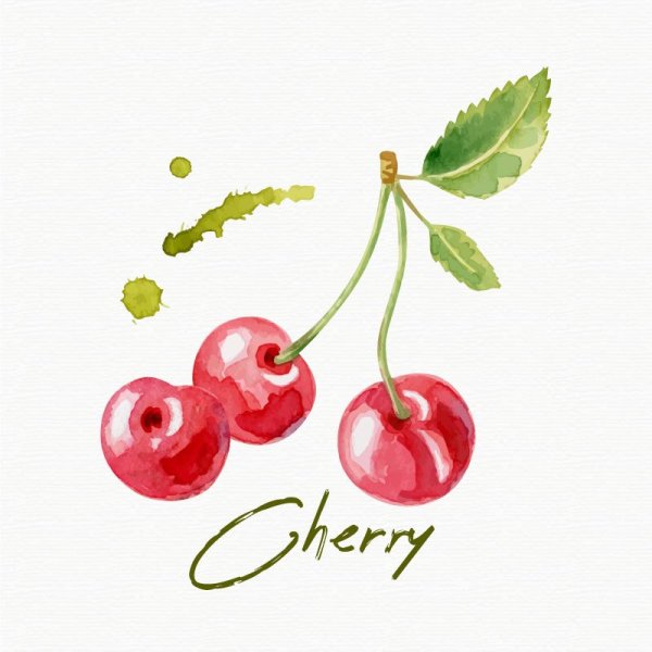 Черешня акварелью