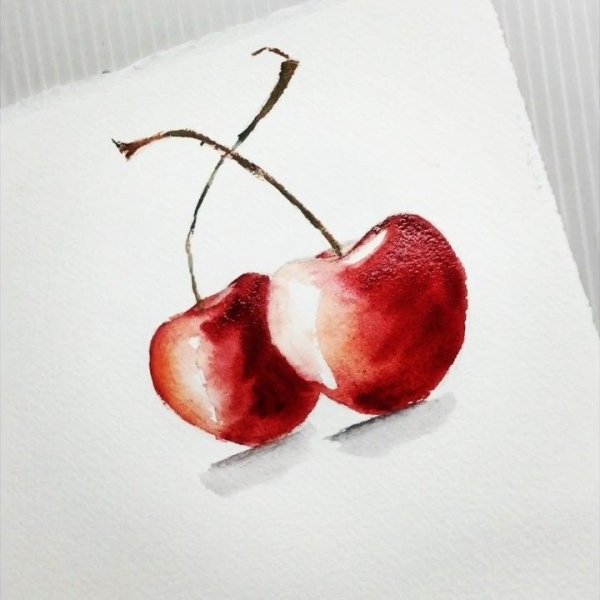 Вишня скетч акварелью