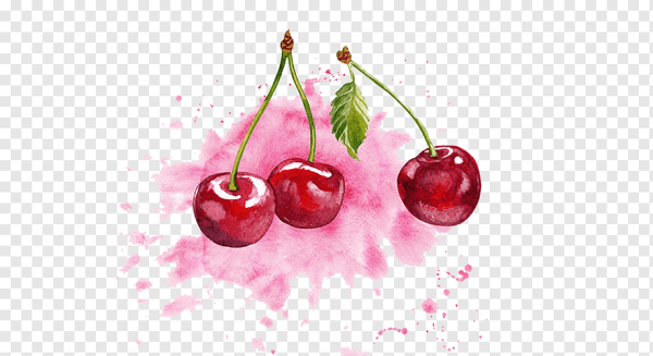 Вишня акварелью