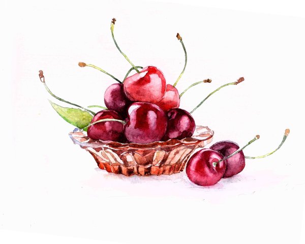 Черешня акварелью