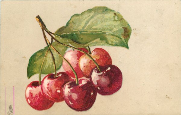 Акварель ягоды черешня