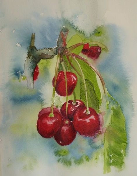 Вишня для рисования акварелью