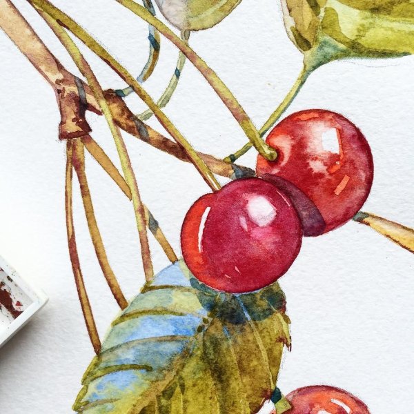 Маркер вишня